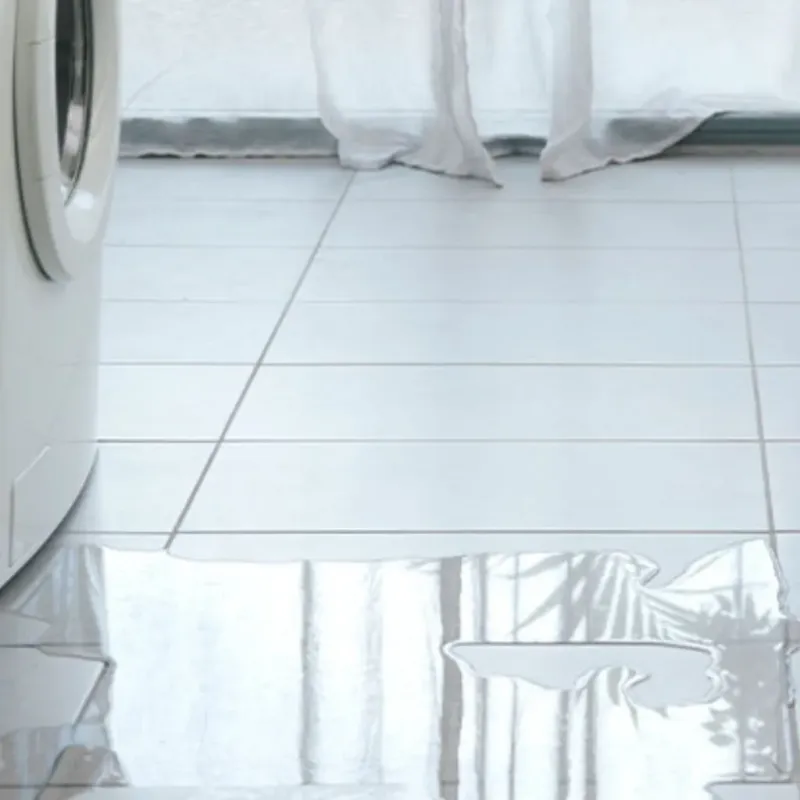 Appliance Leak Cleanup in Kure Beach, NC